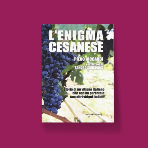 L'enigma cesanese