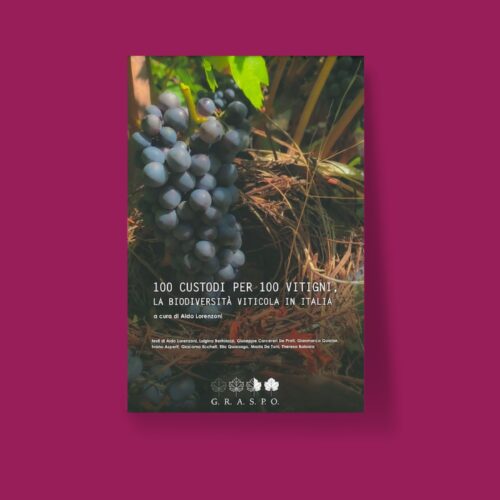 100 custodi per 100 vitigni